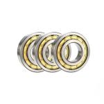 NJ317E High Speed Cylindrical Roller Bearings 140x65mm 42317E Door Roller