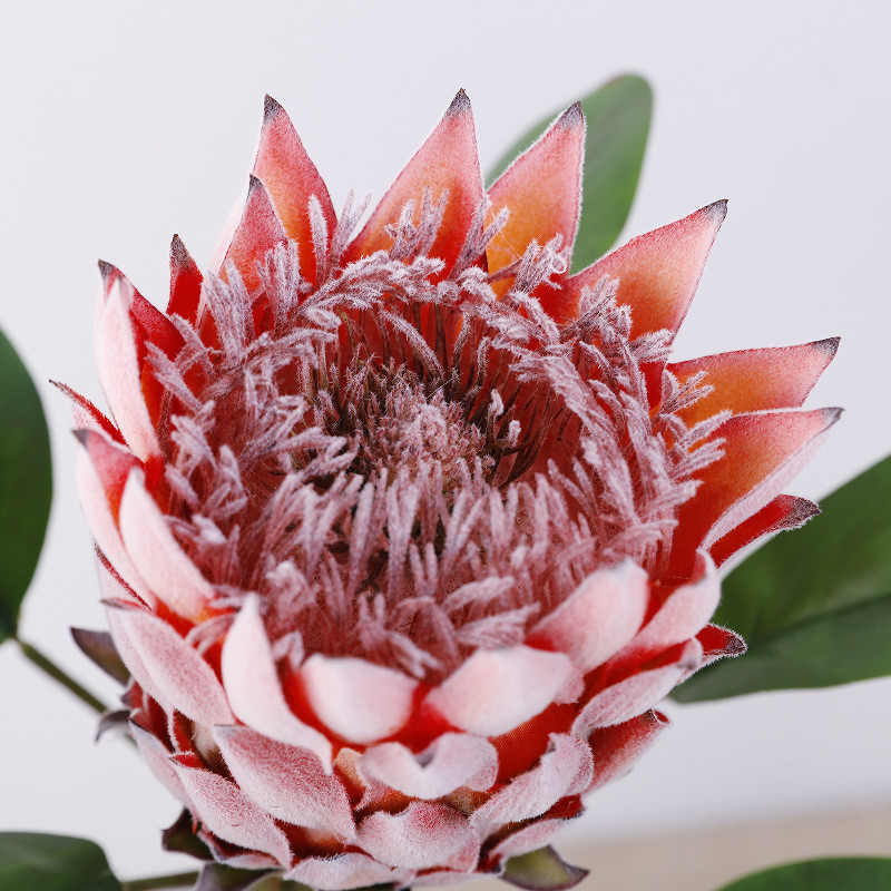 Spring color simulation king flower shooting scene emperor flower home fake flower decoration wedding king flower simulation flower