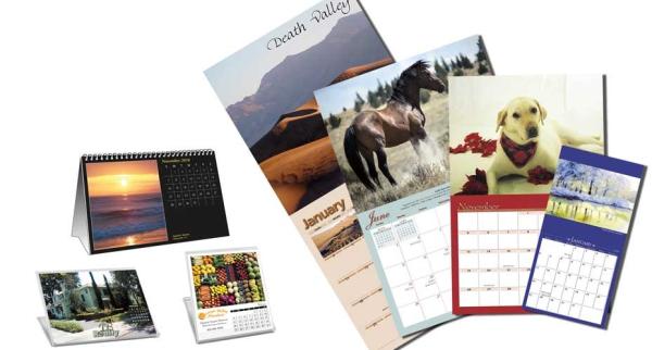 Buy cheap 60gsm-400gsm Pantone Color Calendar Printing Vanishing Animal Wall Calendar from wholesalers