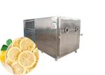 Dried Fruit Industrial Freeze Dryer Machine 200kg/batch