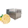 Buy cheap 100L 200L Freeze Dryer Pharmaceutical Industry Liofilizador Freeze Dryer from wholesalers
