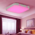 Modern Ceiling Lights RGB ceiling Lamp kitchen overhead light fixtures (WH-MA-33