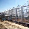 Buy cheap High Venlo Type Greenhouse Strong Commercial Multi Span Glass Covered from wholesalers
