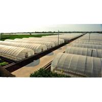 Buy cheap Small Size Single Tunnel Greenhouse Galvanized Tube Frame Span Width 6 / 8 / 10m product