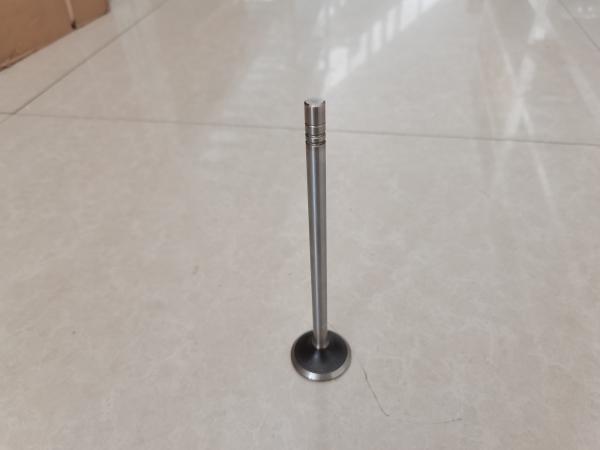 Buy cheap Diesel Engine Valve Exhaust Lightweight 2243030 224-3030 248-1467 from wholesalers