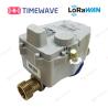 Buy cheap Digital Master Meter IoT Smart Water Meter LoRaWAN For Water Usage from wholesalers