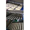 Buy cheap Small Birthday Wedding Cake Cup Making Machine Electrical Snack Extruder Batter Depositor from wholesalers