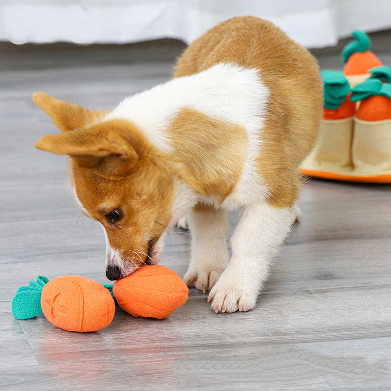 Bite Resistant Pull Out Radish Fleece Felt Dog Sniff Toy