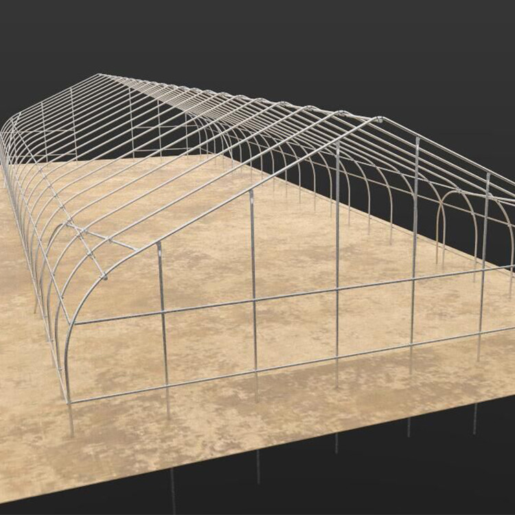 100 Micron PE Film Greenhouse Single Layer Plastic Tunnel Greenhouse