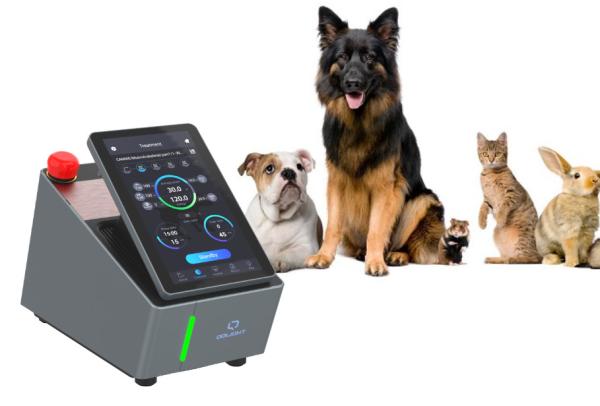 Buy cheap 810nm Pet Laser Therapy Machine Inflammation Treatment from wholesalers