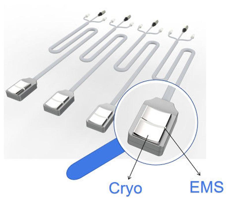 20Hz Cryolipolysis Fat Freezing Machine With EMS Muscle Stimulate