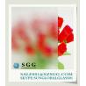 Buy cheap Clear Patterned Glass 5mm with nice price from wholesalers