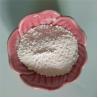 Buy cheap factory direct sale 4A zeolite for insulating glass sealing from wholesalers