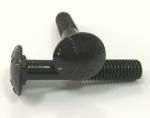 Oxidable Din603 Round Head Black Carriage Bolt Spring Lock Washer Stainless