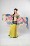 3pcs Elegant Tie Died Chiffon Belly Dance Costume Belly Dance Dresses Stage