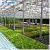 Buy cheap Commercial Greenhouse Rolling Benches Transportable Breeding Nursery Seedling from wholesalers