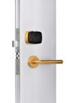 Biometric Hotel Door Lock / 304 Stainless Steel Hotel Smart Door Lock