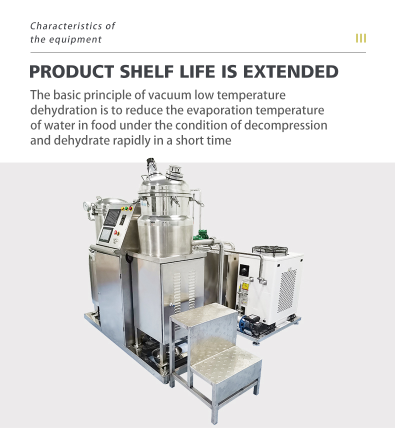 High Productivity Vacuum Fryer Machine Joyshine Home Low Oil Advantage for Promotion