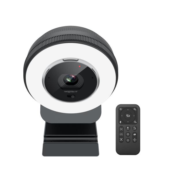 Buy cheap Built In 2pcs High Definition Microphone 78 Degree Webcam With USB Connectivity from wholesalers