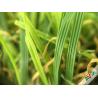 Buy cheap Decorative Leisure Artificial Grass Carpet / Landscaping rugs 18700Dtex 8 Years Warranty from wholesalers