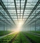 Vegetable Cultivation Greenhouse with Snow Vibrator Return refunds within 30