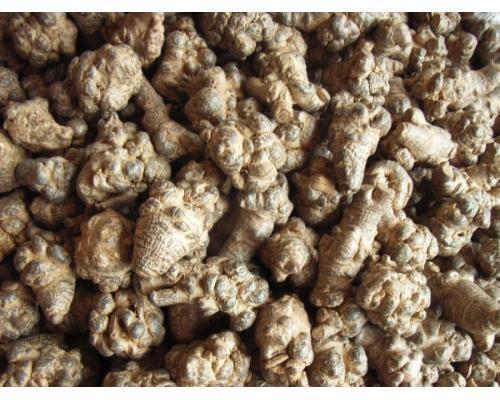 Buy cheap Radix Notoginseng P.E 80% Circulatory health、Fatigue from wholesalers