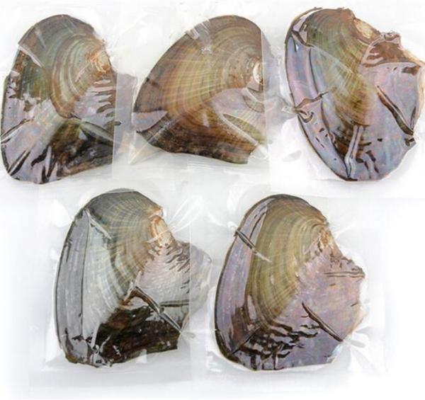 Buy cheap Wholesale Vacuum-packed 7-8mm A grade rice shape freshwater pearl oyster white natural Pearl Oyster from wholesalers