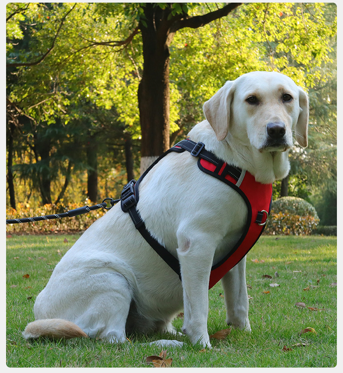Pet Anti breakaway Harness Reflective Multifunctional Anti Lost Harness For Large Dog