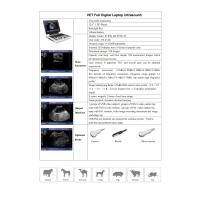Buy cheap Wearproof Veterinary Ultrasound Machine Sheep Ultrasound Scanner 12.1 Inch SVGA product