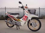KTM Thailand Honda Horizontal Engine Motorcycle 110CC 150KG Maximum Load