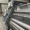 Buy cheap Poultry Farm A Type Chicken Cages For Laying Eggs Stable Structure from wholesalers