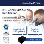 NSF42/NSF53 Certified G E XWFE Refrigerator Water Filter WR17X30702 Ozone