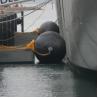 Buy cheap Ship Protection Marine Polyurethane Inflatable Boat Fenders from wholesalers