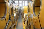 12mm cold or hot rolled stainless steel coil 304 316l 309s 321 310s 201 No.1