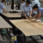 Blue Cat'S Eye engineered wood veneer X809 Specially Ring Grain Customized 0