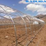 Side Ventilation Single Span Vegetable Growing Polyethylene Film Greenhouse