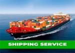 Door To Door Sea Freight From China To Australia FCL LCL