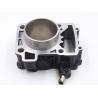 Buy cheap Water Cooled Motorcycle Cylinder Block 200cc Displacement For Bajaj Pulsar 200ns from wholesalers