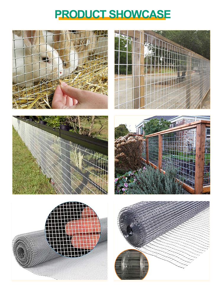Galvanized Welded Wire Mesh Screen for Long-Lasting and Durable Protection