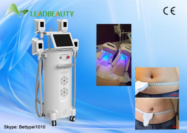 Quality CE approved fat freezing cryolipolysis antifreeze membrane for cryolipolysis for sale