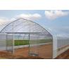 Buy cheap Commercial Plastic Film Greenhouse , Single Span Greenhouse For Flower from wholesalers