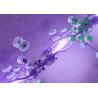 Buy cheap Small Light Train CIPP UV Curing System Traditional High Voltage Mercury DN200-600 from wholesalers