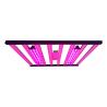 Buy cheap 800W 8Bars Osram 660nm Horticulture Grow Lights For 4x4 Ft Hydroponics Garden from wholesalers