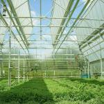 Metal Frames Greenhouse Solar Panel System 0.5mm-15mm Thickness