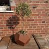 Buy cheap Outdoor Garden Metal Planter Boxes Corten Steel Pentagonal Flowers Planters from wholesalers