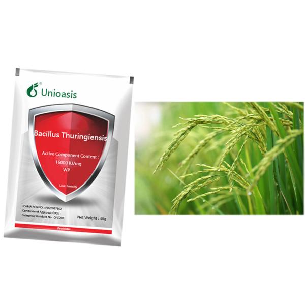 Buy cheap Bacillus Thuringiensis Pure Biological Agent 16000 IU/mg Wholesale Factory Vegetables Rice Corn Pests from wholesalers