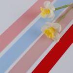 Manufacturer's three top woven ribbon delicate polyester cotton solid color