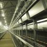 Buy cheap Galvanized Steel A Cage For Poultry , Automatic Ladder Layer Chicken Cage from wholesalers