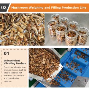 Automatic Chicken Beef Jerky Zipper Premade Weighing Filling Packing Machine