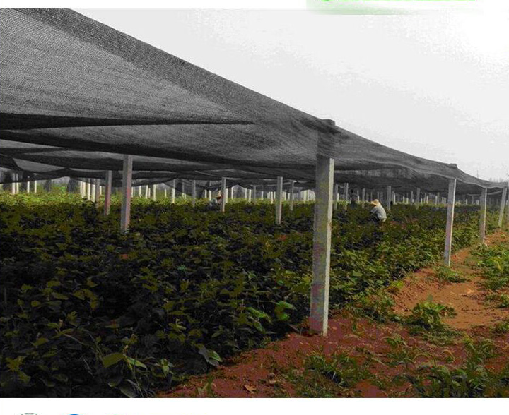 80% shading rate farm sun shade net for plant in low price